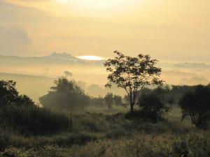 Castiglione del Lago in the distance (by F.Maino)