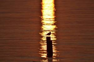 Tramonto al lago - Ferdinando Maino